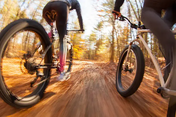 Couple riding their fatbikes through the forest.
