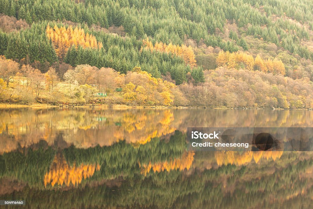 Autumn Reflection Beautiful autumn colours reflected on a loch in Scotland. Autumn Stock Photo