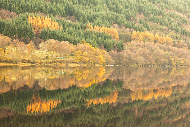Autumn Reflection Beautiful autumn colours reflected on a loch in Scotland. loch voil stock pictures, royalty-free photos & images