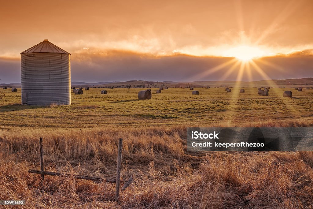 Sun Burst Prairie Sunset Landscape of the setting sun on the prairie with a grain elevator and sunburst. Alberta Stock Photo