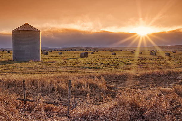 Sun Burst Prairie Sunset Landscape of the setting sun on the prairie with a grain elevator and sunburst. granary photos stock pictures, royalty-free photos & images