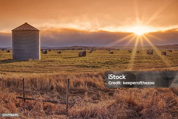 Sun Burst Prairie Sunset Stock Photo - Download Image Now - Alberta, Prairie, Autumn
