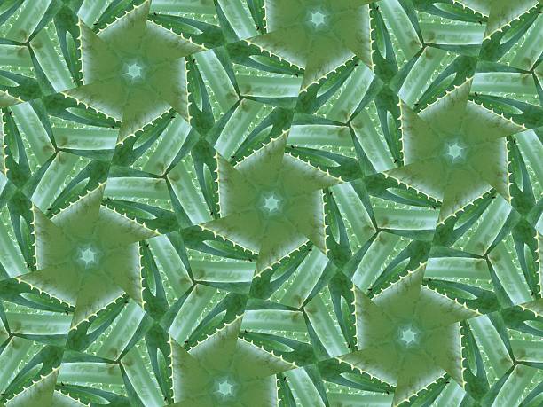 istock Mutant nature plant based background featuring thorns 504916714