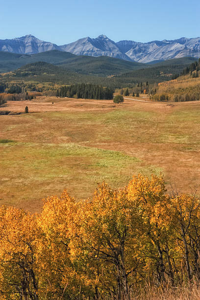 istock Autumn where Praire Meets Mountains 504917362