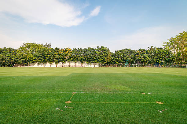istock Football or Soccer field 504917630