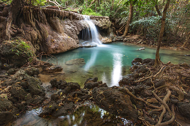 тропический водопад в глубоком лесу провинция канчанабури, таиланд. - kanchanaburi province beauty in nature falling flowing стоковые фото и изображения