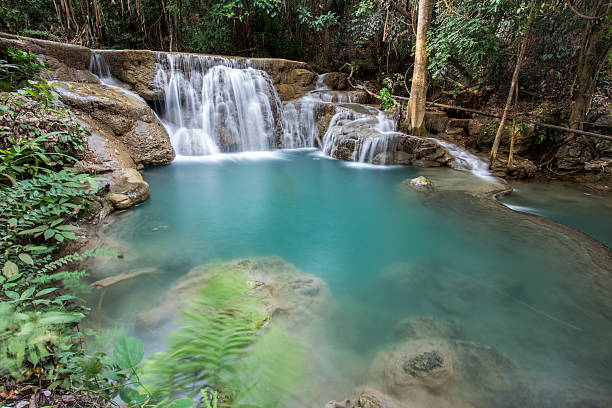 cascada en bosque tropical profunda de la provincia de kanchanaburi, tailandia. - kanchanaburi province beauty in nature falling flowing fotografías e imágenes de stock
