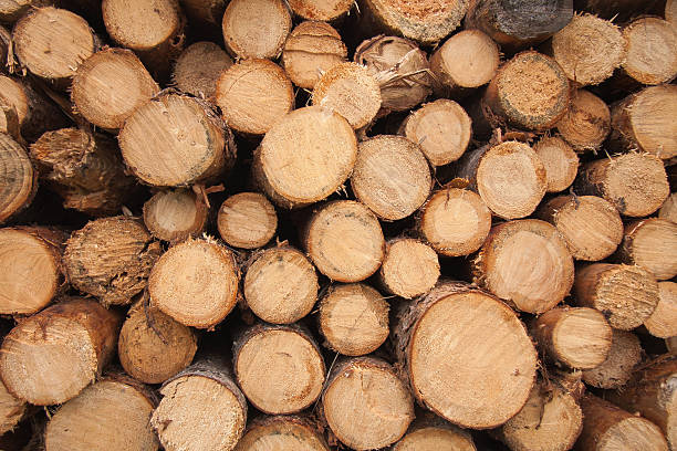 istock Background of firewood 504921488