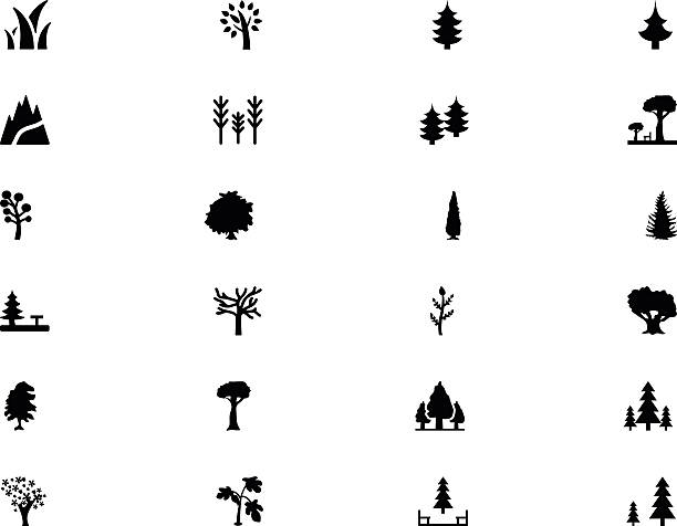 illustrazioni stock, clip art, cartoni animati e icone di tendenza di foresta vettoriale icone 1 in tinta unita - pino domestico