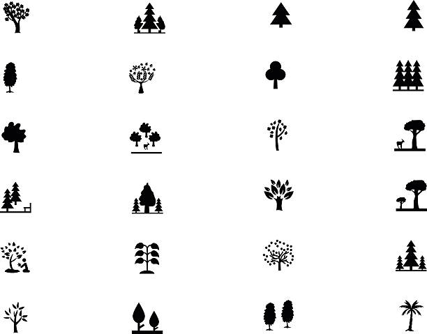 illustrazioni stock, clip art, cartoni animati e icone di tendenza di foresta vettoriale icone 2 in tinta unita - pino domestico