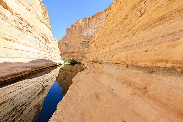 En Avdat is a oasis in a spectacular canyon in the desert Negev,  Israel