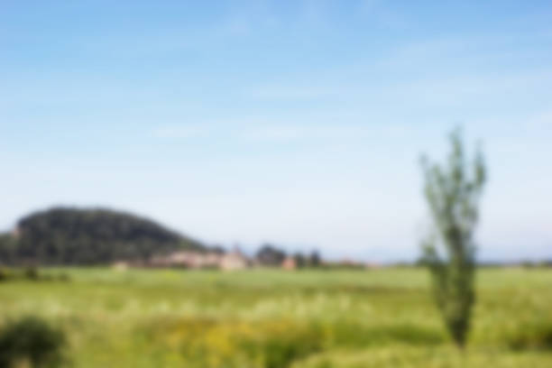 istock Blurred background color tonned designed for different types of applications 504923550