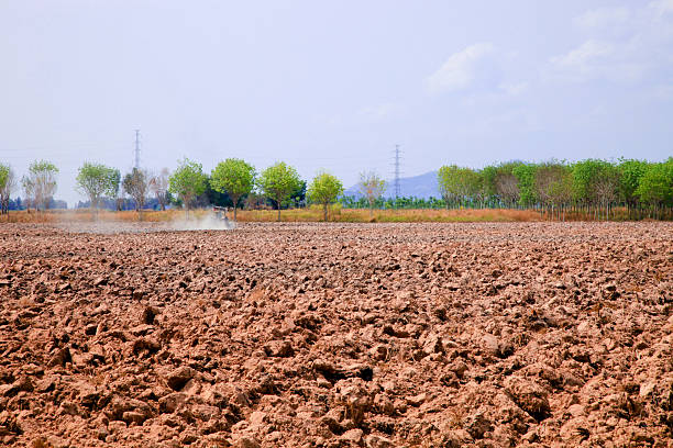 Agriculture tractor sowing seeds and cultivating field