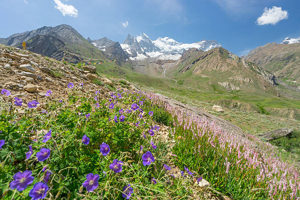 istock Zanskar landscape in summer 504927996