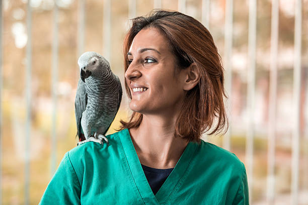 istock Young happy veterinarian with a parrot on her shoulder. 504929512