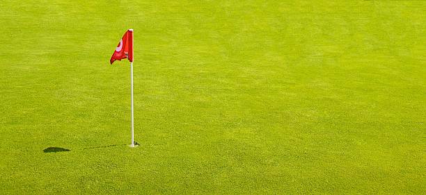 istock Golf Flag on bright green grass 504933334