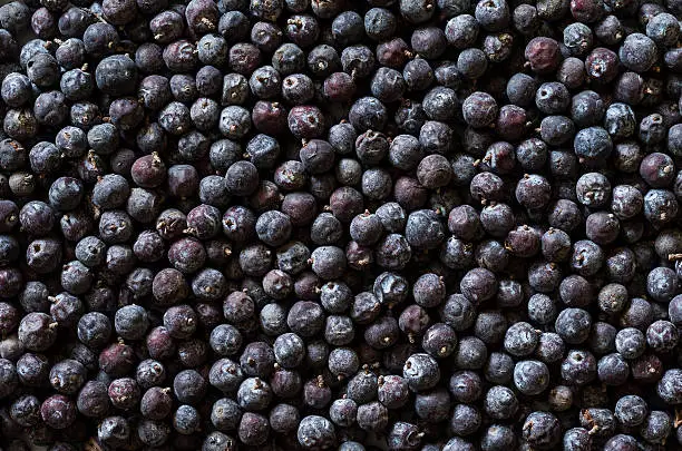 Juniper berries background