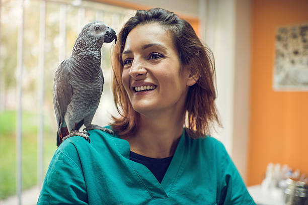 istock Happy female vet with a gray parrot on her shoulder. 504980122
