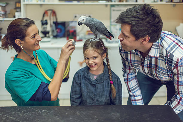 istock Father and daughter with their parrot at vet's office. 504980718