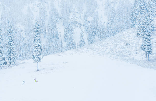 vista panoramica di un piccolo gente cammina nella neve montagna. - tree leavenworth snow sky foto e immagini stock