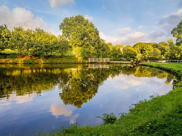 istock Leeds and Liverpool Canal in Evening Light, Chorley, Lancashire, UK 504982040