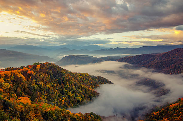 istock The mountain autumn landscape with colorful forest. 504982586
