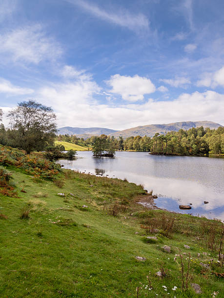 istock Autumn colours at Tarn Hows, Cumbria, UK 504982608