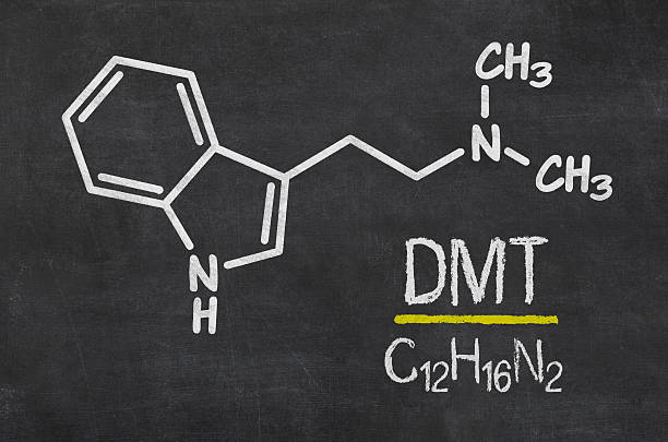 istock Blackboard with the chemical formula of DMT 504983494