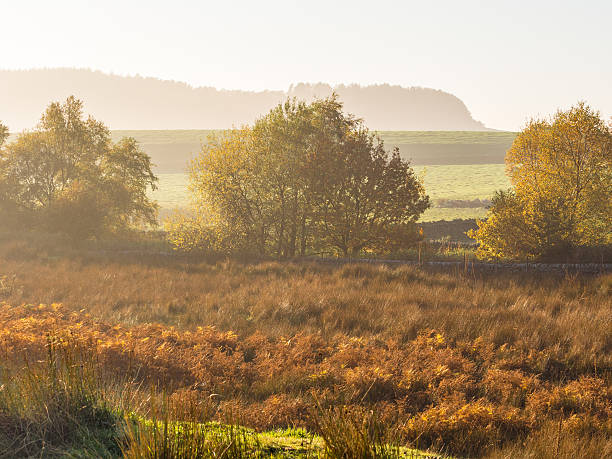 istock Autumn colours at White Copice, Lancashire, UK 504985620