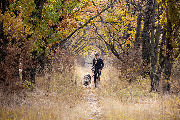 istock man walking with a dog Husky 504987166