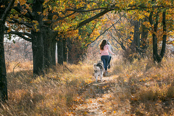 istock Man and woman playing with the dog 504987980