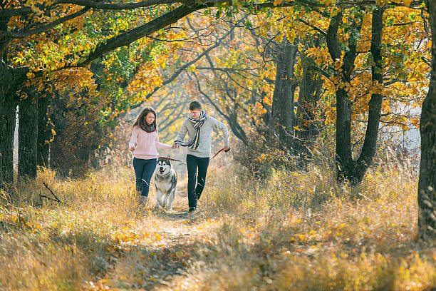 istock Man and woman playing with the dog 504988138