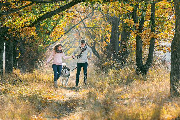 istock Man and woman playing with the dog 504988234
