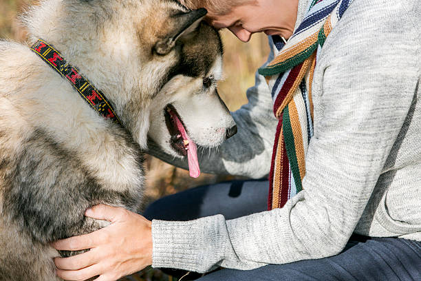 istock man walking with a dog Husky 504988630