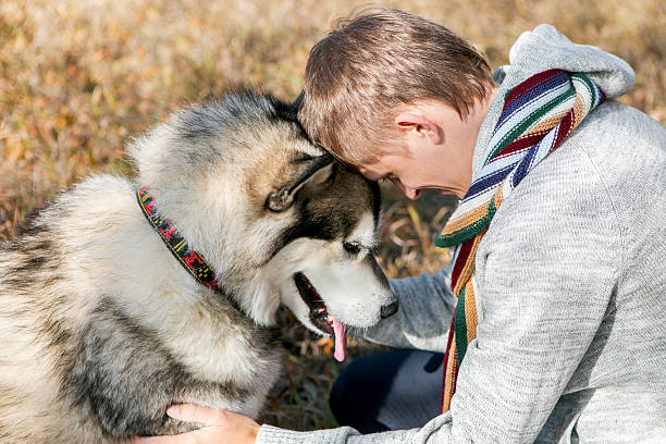 istock man walking with a dog Husky 504988774