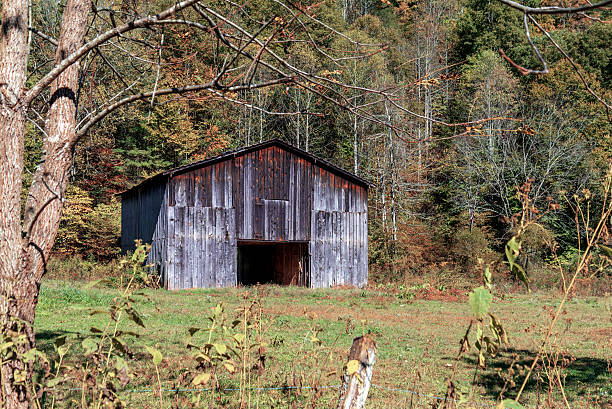 istock Old barn in the country 504989406