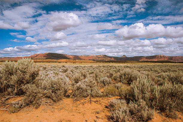 istock Northern Arizona Desert, USA 504989486