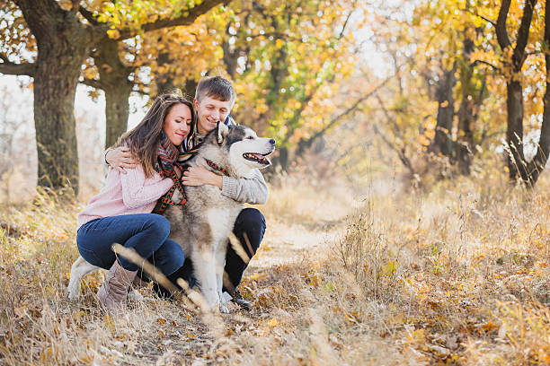 istock Man and woman walking with a dog 504989928