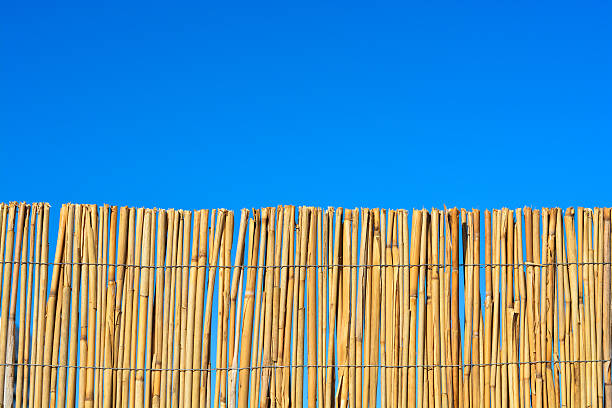 istock Bamboo or cane fence with blue sky 504991580