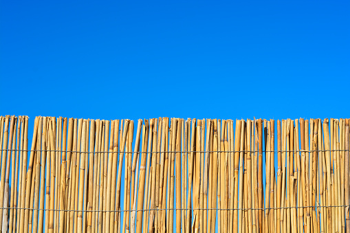 Bamboo or cane fence with blue sky
