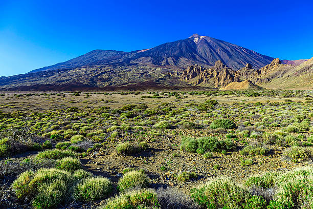 istock Teide Volcano Landscape on Tenerife 504992574