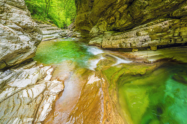 istock Creek with pure water 504995166