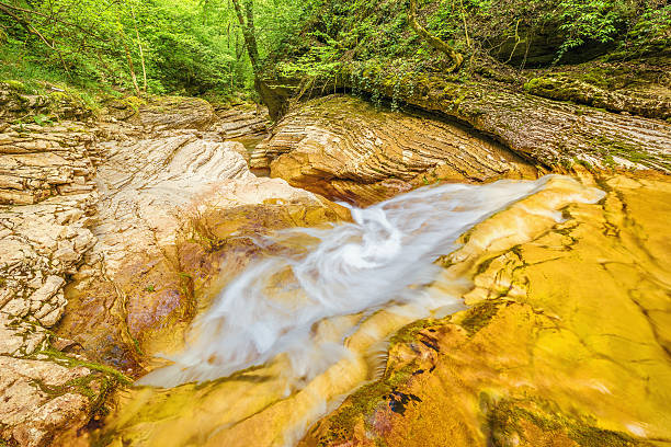 creek con agua pura - deep creek area fotografías e imágenes de stock