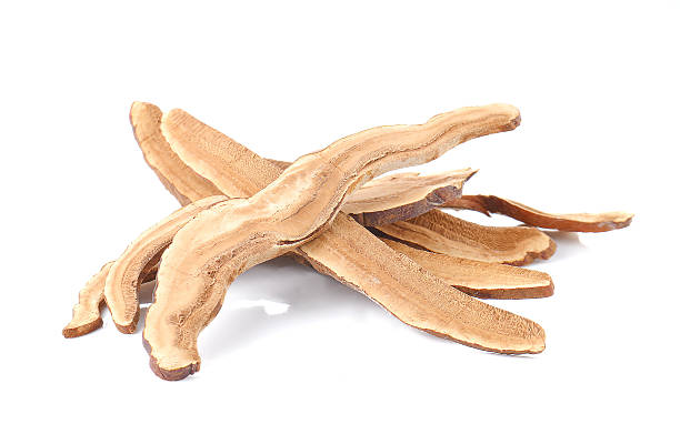 istock Reishi isolated on white background. 504995794