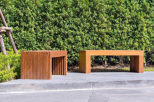 Wood bench in garden with small green tree in background