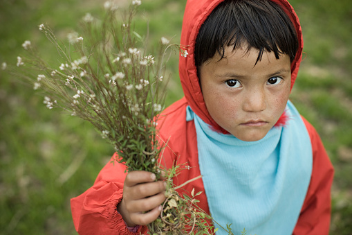 Outdoor elevated view of shy, cute, Asian little girl showing bunch of small wild flowers and looking at camera. She is in red hoody jacket and blue scarf. One person, waist up, horizontal composition with selective focus and copy space.