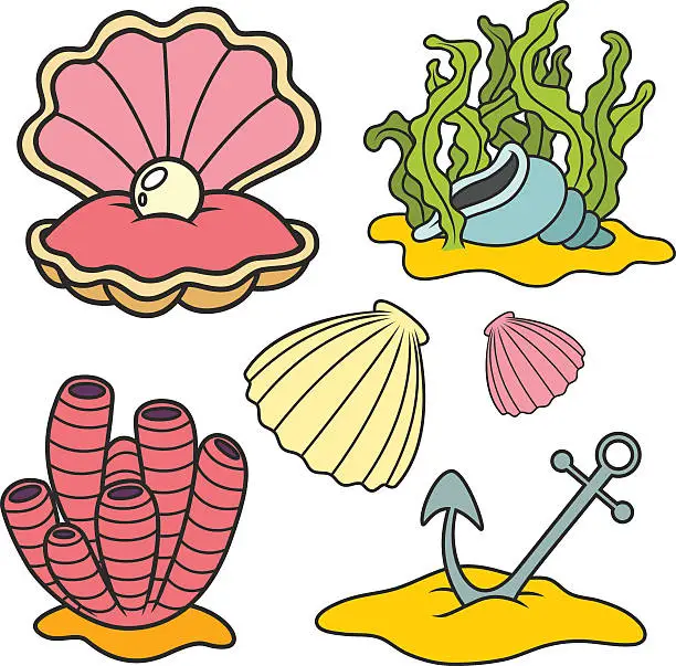 Vector illustration of Shells and anchor