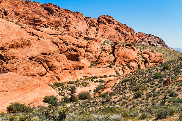 istock Red Rock Canyon, Nevada 505022938
