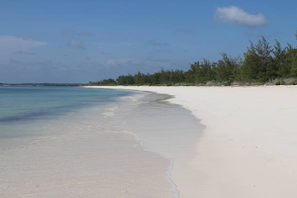 istock Dreamland Watamu Beach 505024798