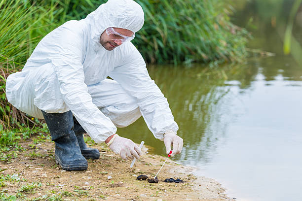 istock DNA sampling from animal feces 505027158